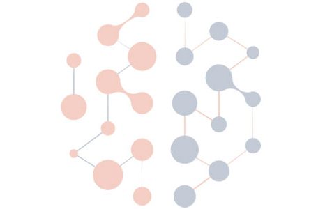 Insight Brain